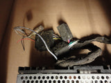 Porsche CR-1 Radio Porsche 993 with cassette player includes cables - 993.645.104.00